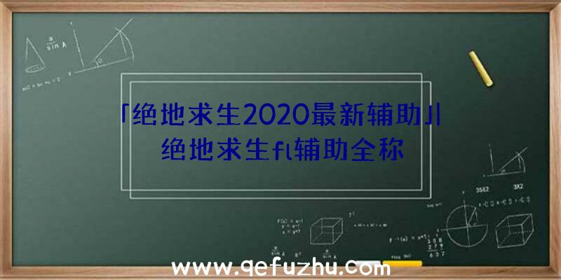 「绝地求生2020最新辅助」|绝地求生fl辅助全称